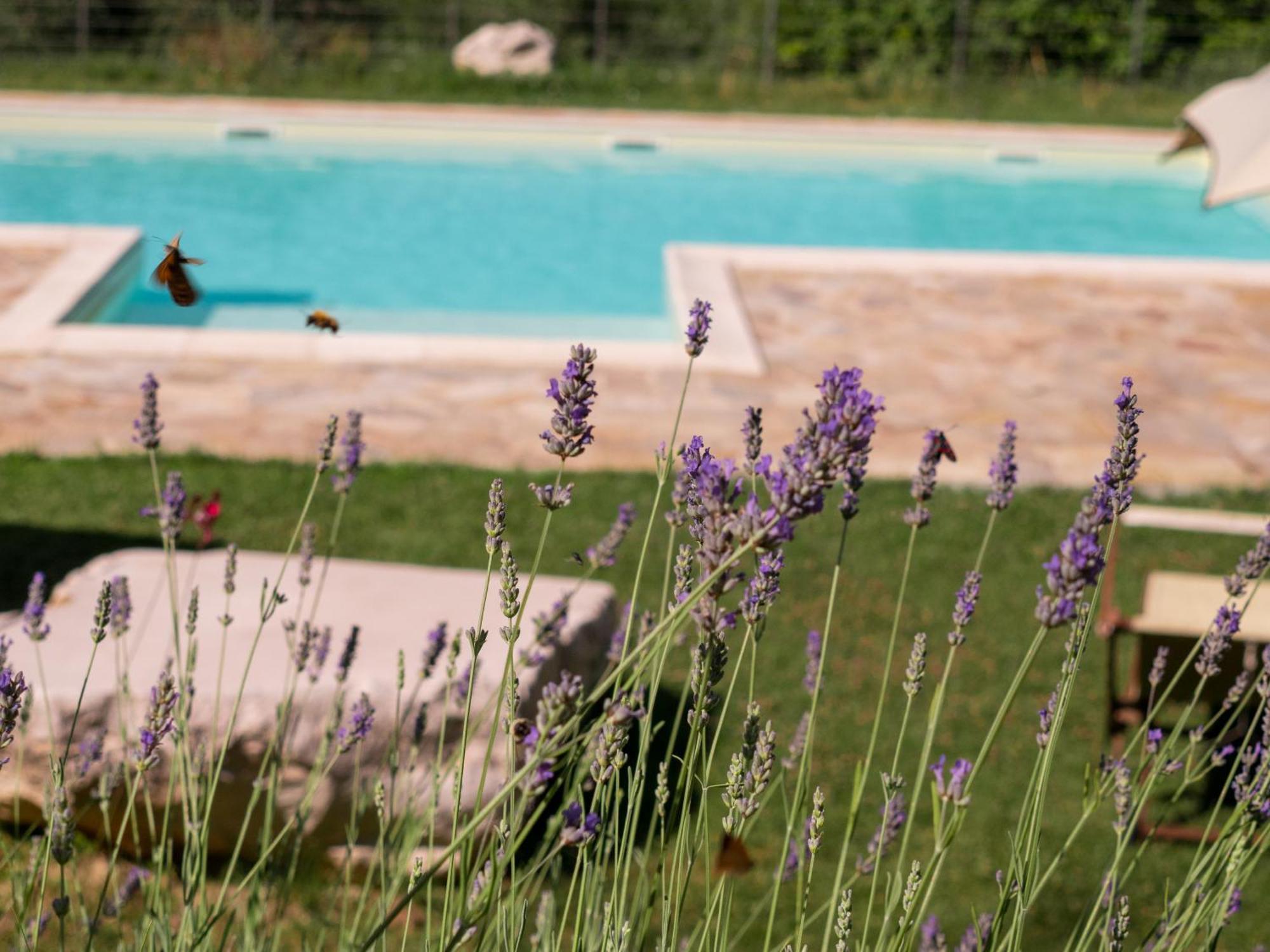 Lacelletta Country House Urbino Bagian luar foto